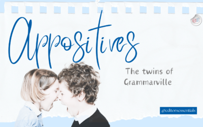 Appositives, the twins of Grammarville
