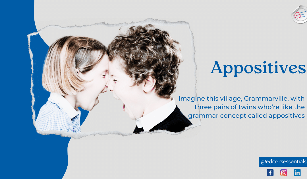 Appositives, the twins of Grammarville